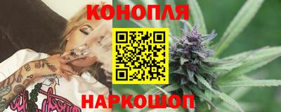 Альфа ПВП Нальчик