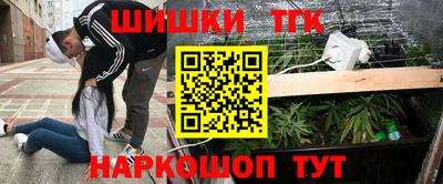 Альфа ПВП Нальчик