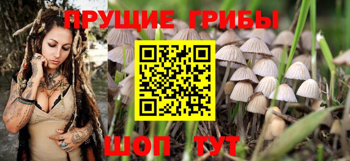 Псилоцибиновые грибы мухоморы  Галлюциногенные грибы Psilocybine cubensis  Соль-Илецк  Вход с VPN 