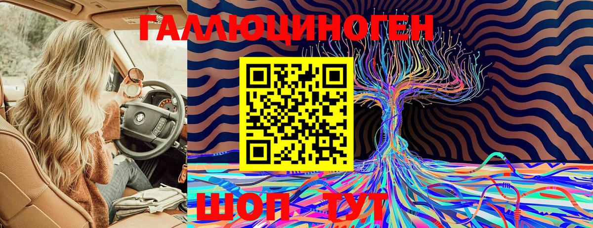 Галлюциногенные грибы Psilocybine cubensis Соль-Илецк